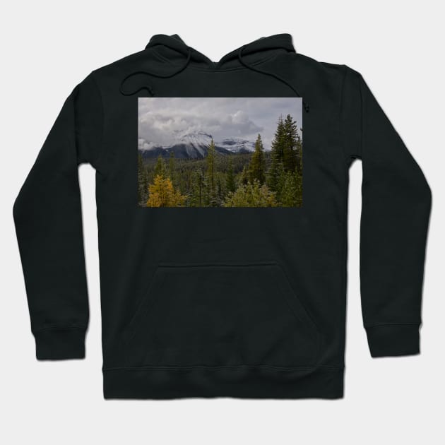 850_5237 Hoodie by wgcosby